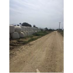 3-Mısır Silajı aylık 10.000 ton tedarik etme yeteneği 1. sınıf - 2. sınıf